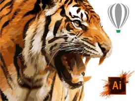 Adobe Illustrator y Corel Draw