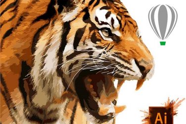 Adobe Illustrator y Corel Draw