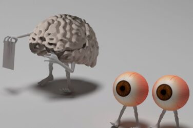 cerebro, ojos, ver