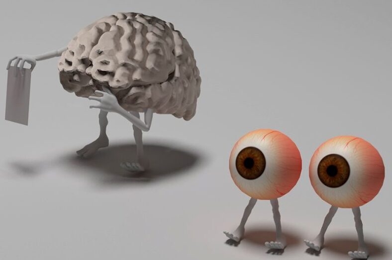 cerebro, ojos, ver