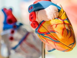 colores, corazón, emociones