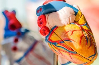 colores, corazón, emociones