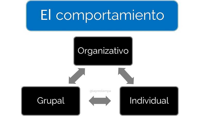 comportamiento, toma de decisiones