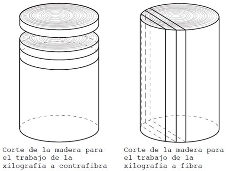 xilografía, fibra, contrafibra