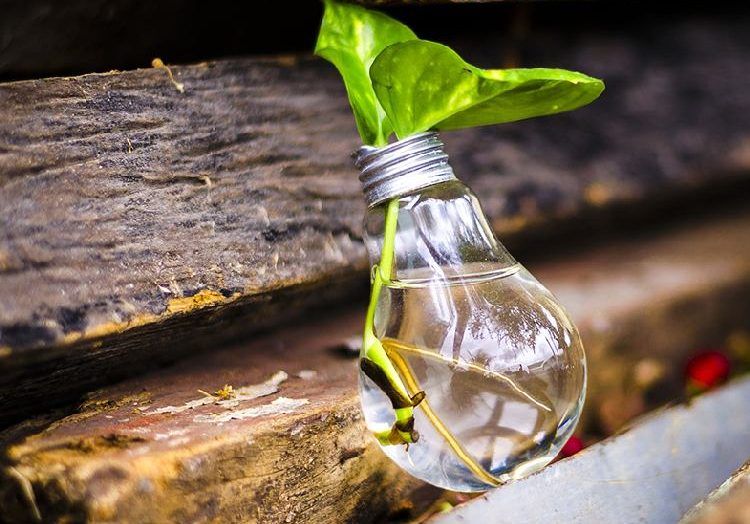 diseño sostenible, artes gráficas