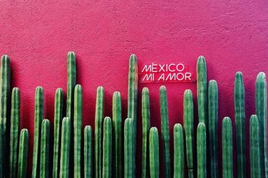 color mexicano, rosa mexicano