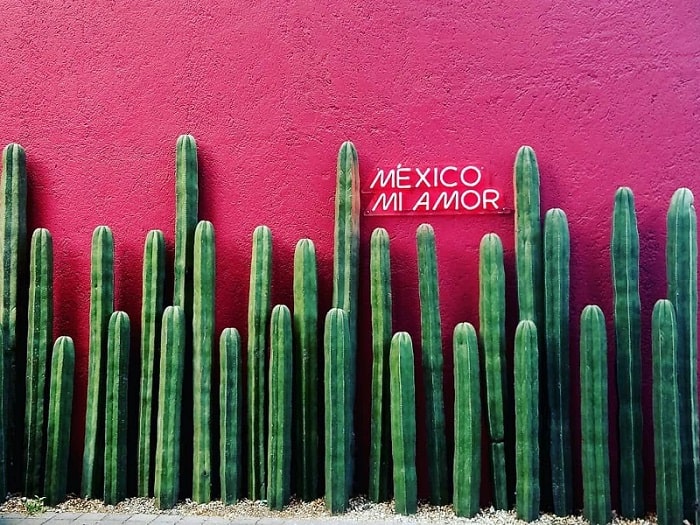 color mexicano, rosa mexicano