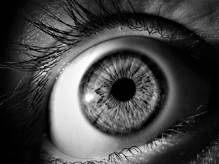 orden, estructura visual, diseño