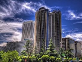 organización, empresa, organigrama