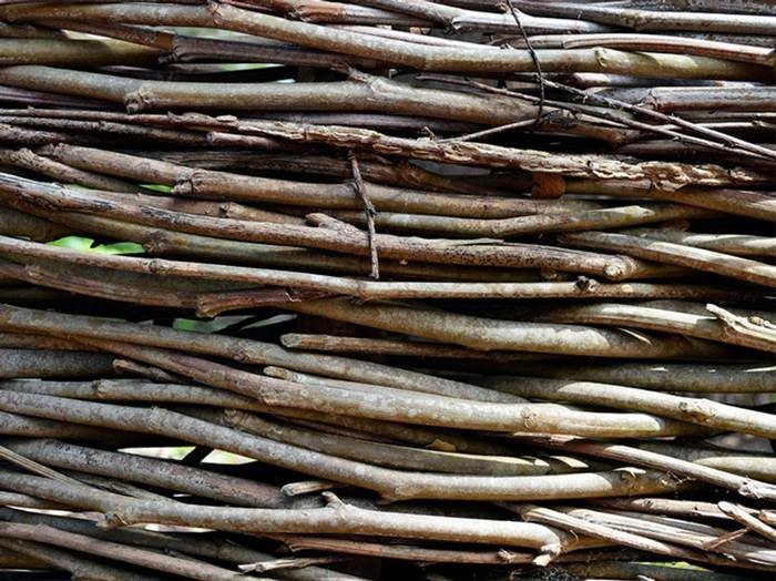 tipografia palo seco