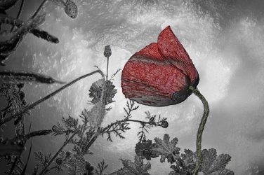 tratamientos, postimpresion